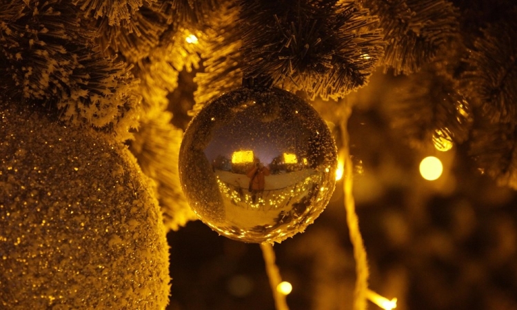 A kar&aacute;csonyi konfliktusok evol&uacute;ci&oacute;s gy&ouml;kerei