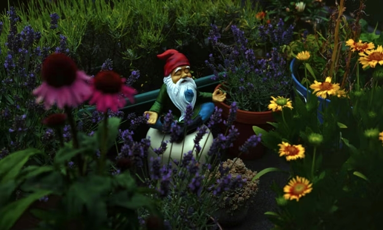 Mi&eacute;rt ideges&iacute;t, ahogy a p&aacute;rod dolgozik &ndash; &eacute;s mi k&ouml;ze ennek a kerthez?