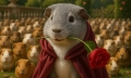 Randy, a tengerimalac Casanova – Avagy mi történik, ha egy fiú túl sok lányt lát egyszerre?
