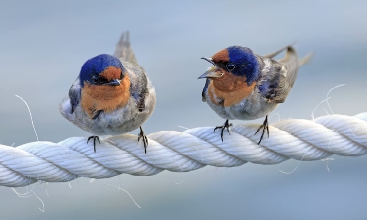 Mi&eacute;rt veszeksz&uuml;nk mindig ugyanazon?